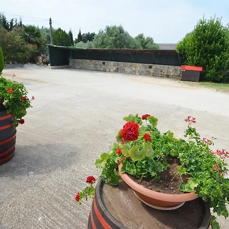 Ana & Mauricio Rovinj