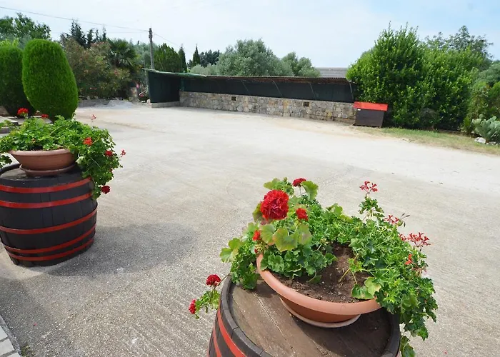 Ana & Mauricio 로비니